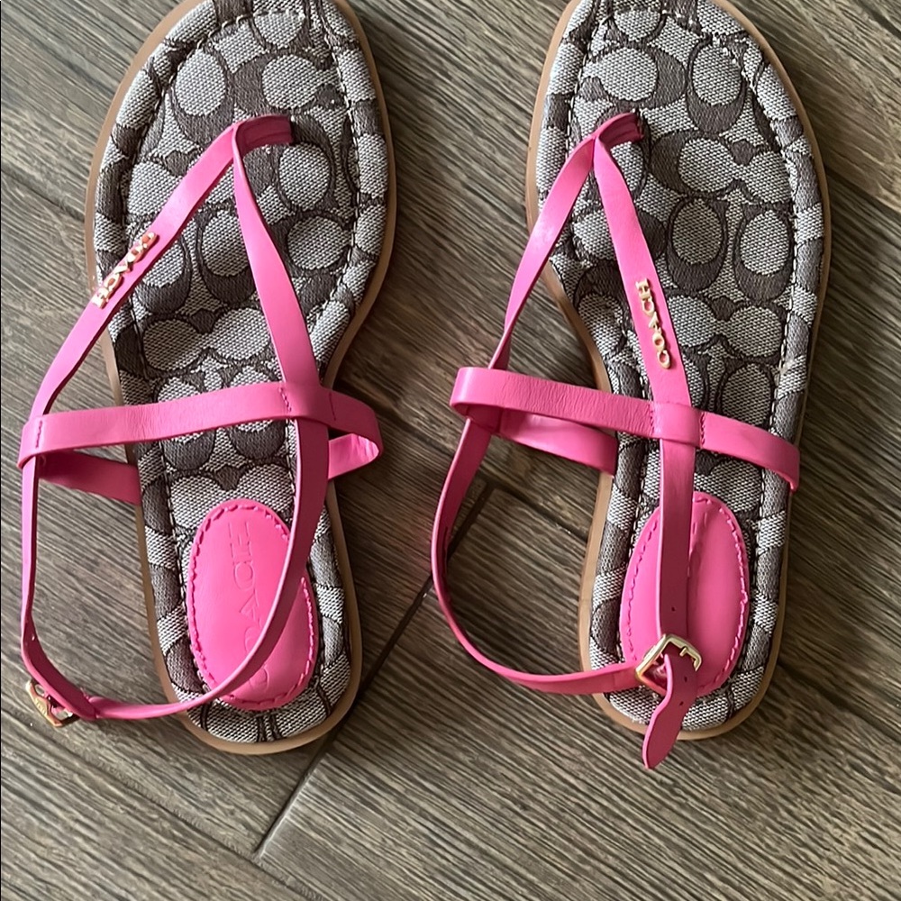 Coach Pink and Brown Sandals with Criss-Cross Straps JMG